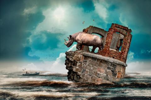 von forue_80611 DigitalPHOTO-Galerie