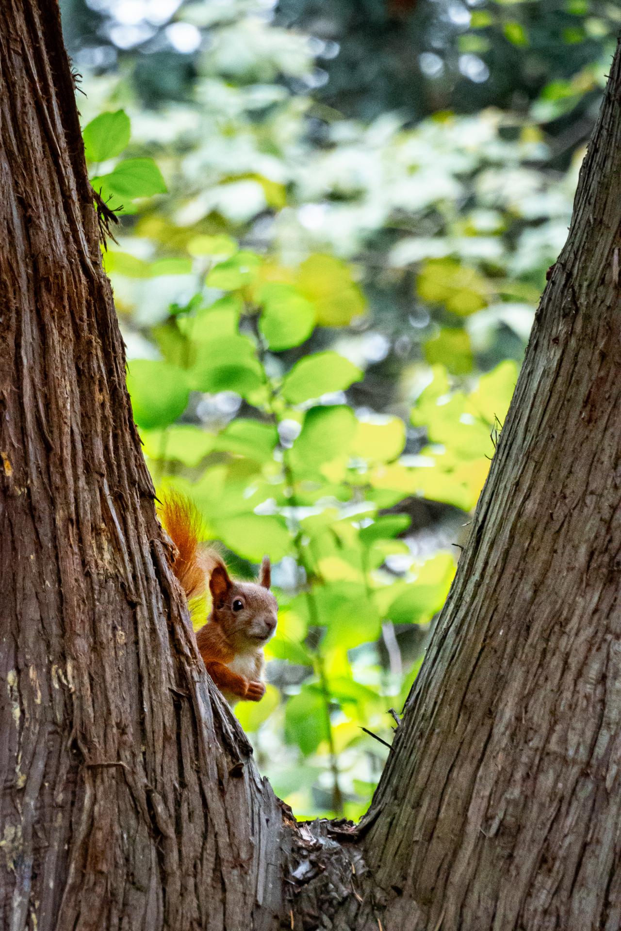 Wer ist denn da? DigitalPHOTO
