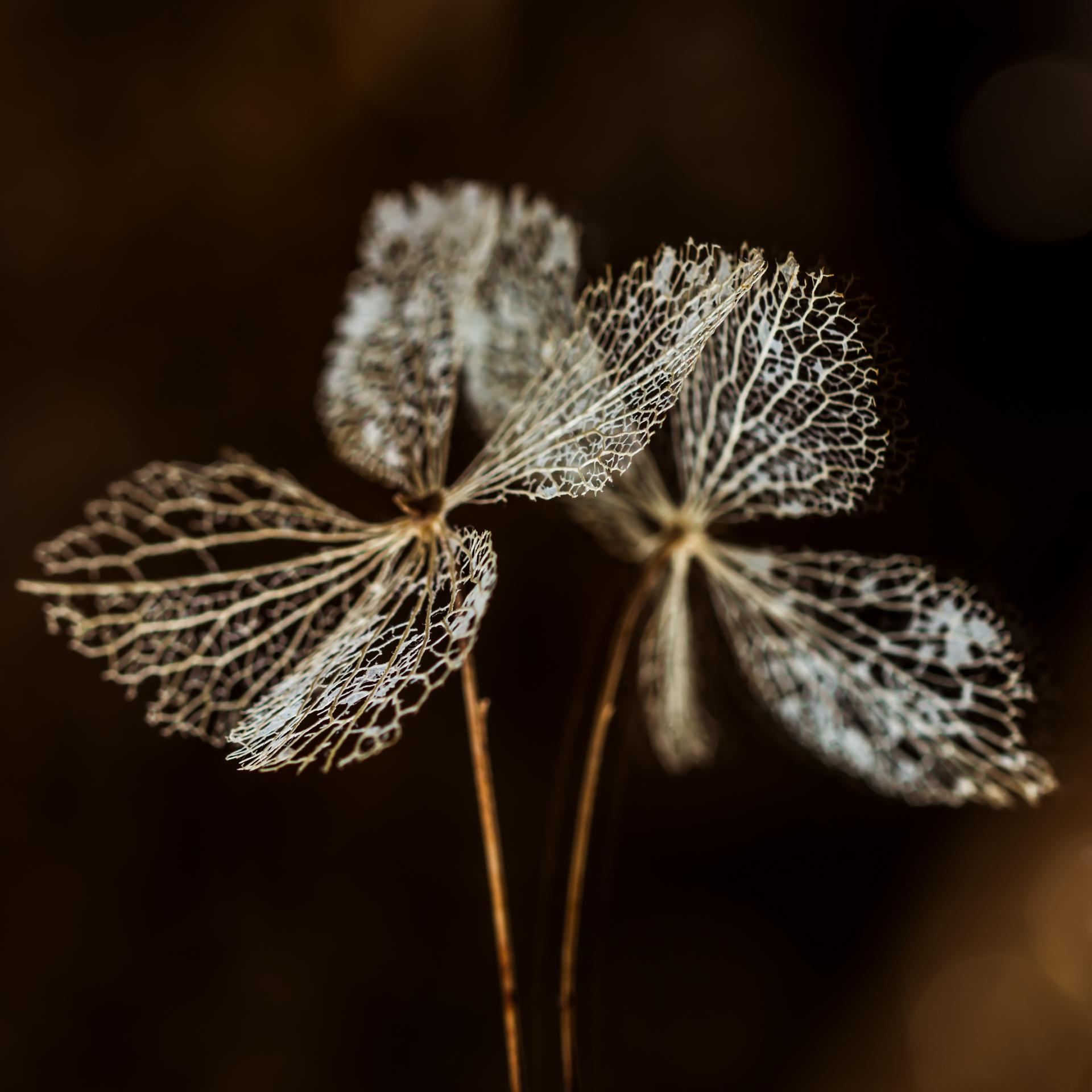 Gespiegelt | DigitalPHOTO