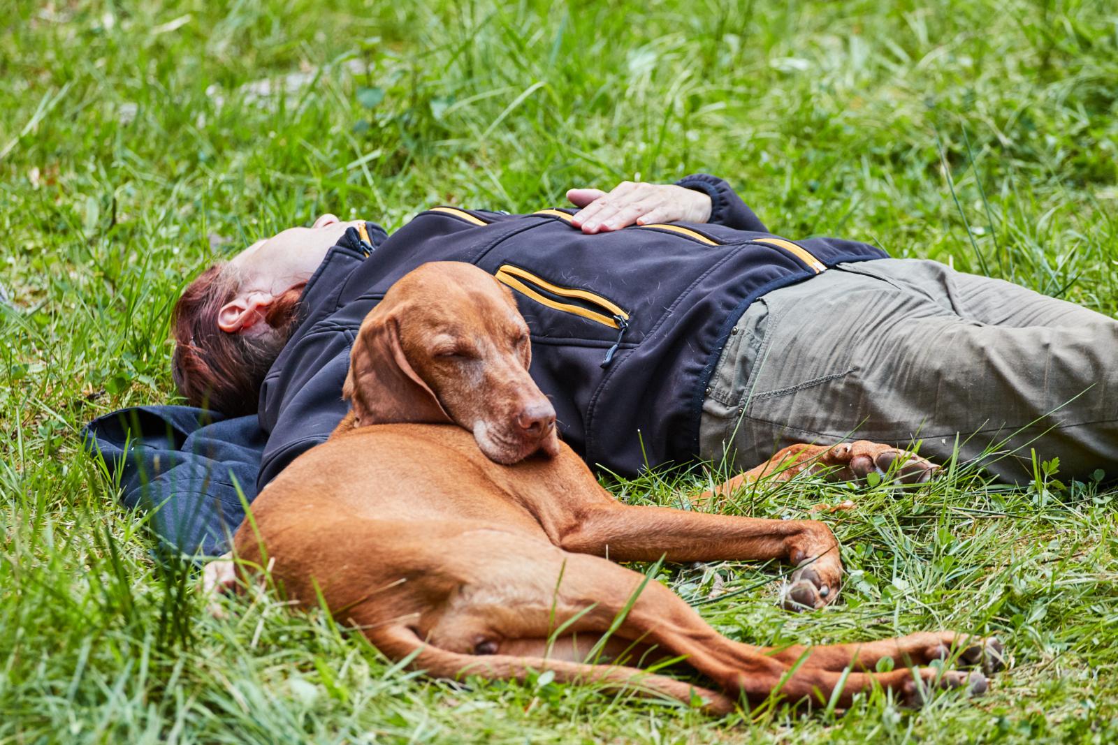 Ruhe nach der Arbeit | DigitalPHOTO