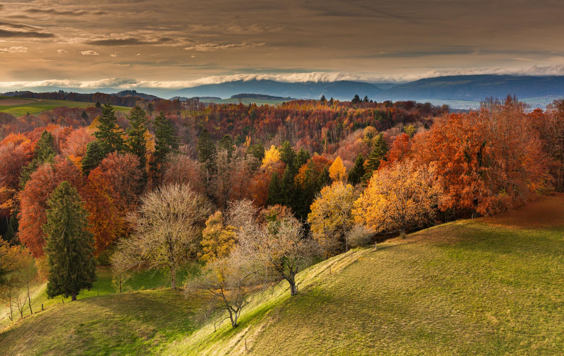 Herbstlandschaft Digitalphoto