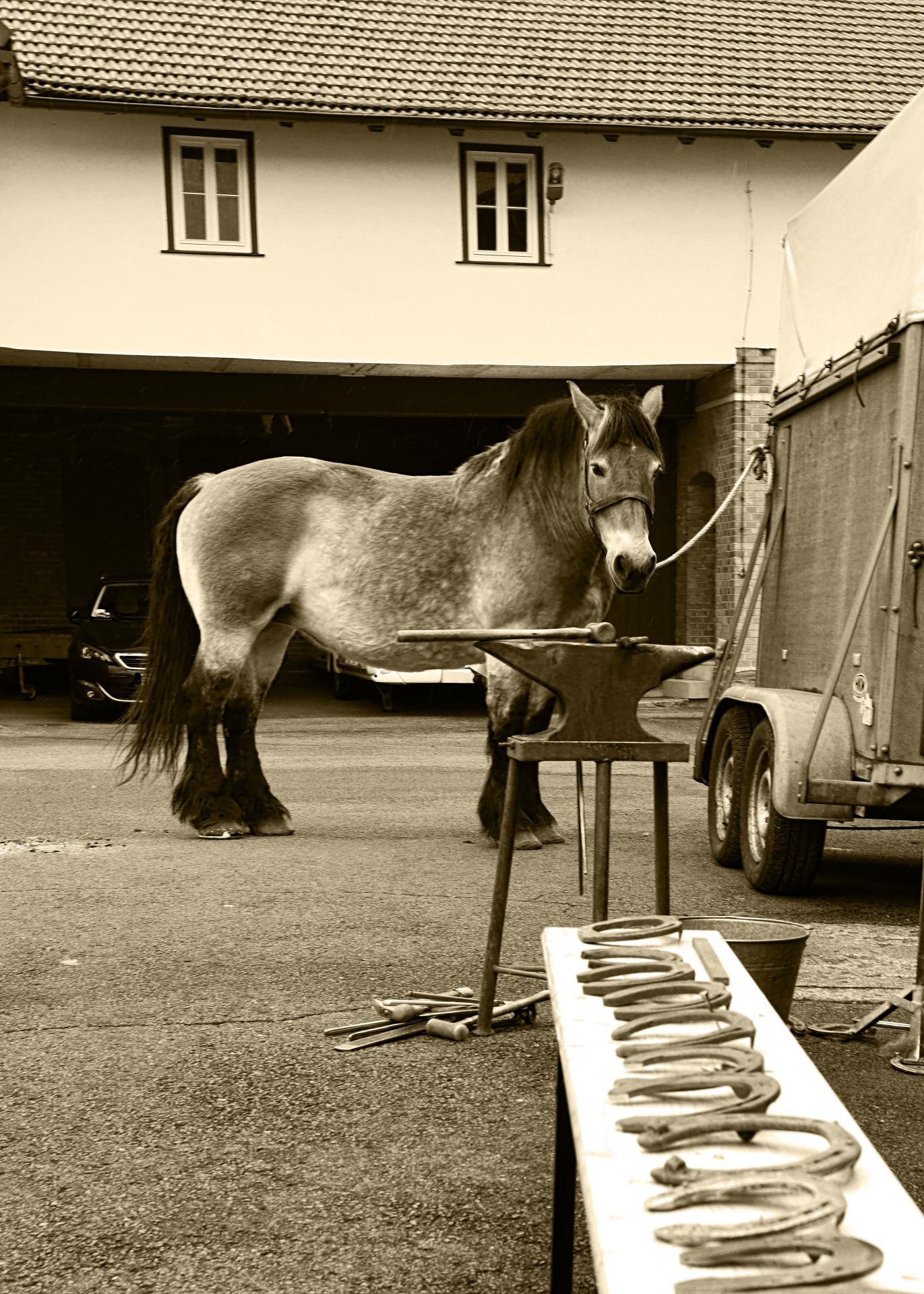 Welches Eisen nehme ich nun? DigitalPHOTO