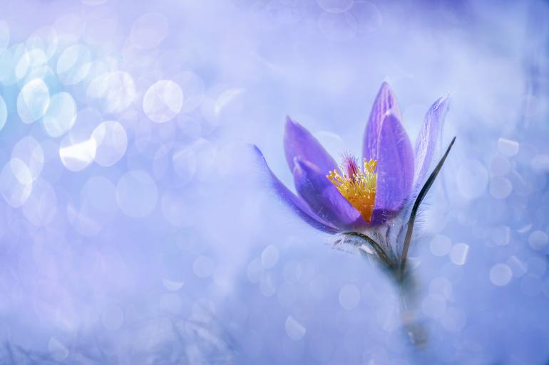 Gaby Dorka DigitalPHOTO-Galerie