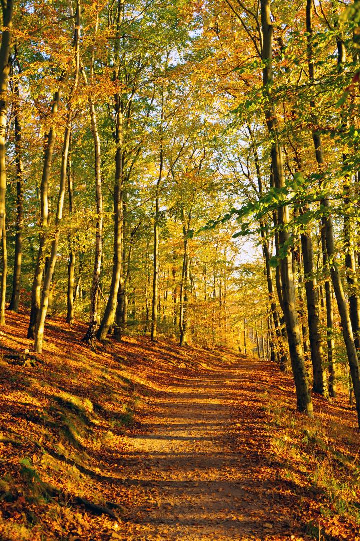 Hochformat und Landschaft FotoBasics DigitalPHOTO