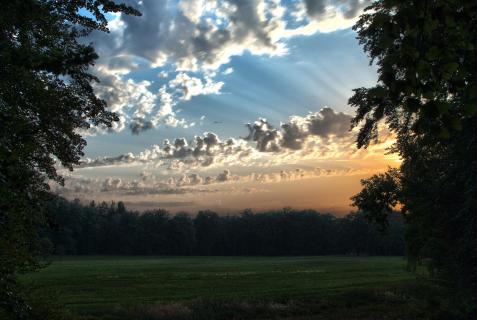 Dämmerung im Park