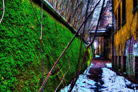 Behind the house