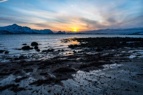 Sonnenuntergang auf Senja