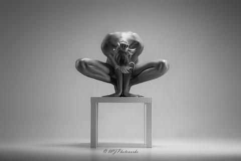 Sculptural Nude