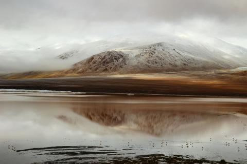 Laguna Colorada in Bolivien