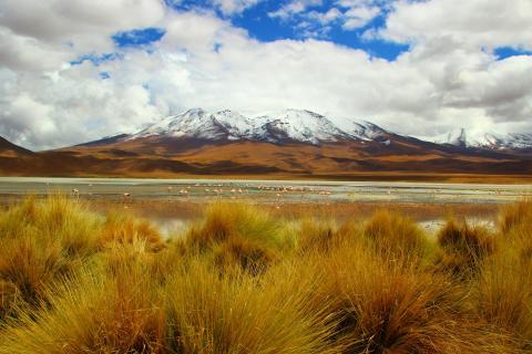 Laguna Hedionda in Bolivien