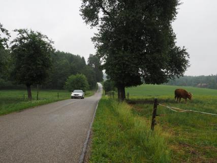 Straße an der Weide