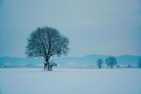 Ice Lands