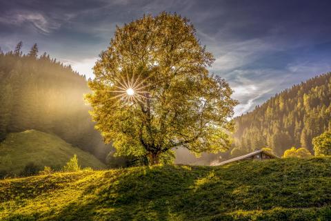 Herbst in der Schweiz 