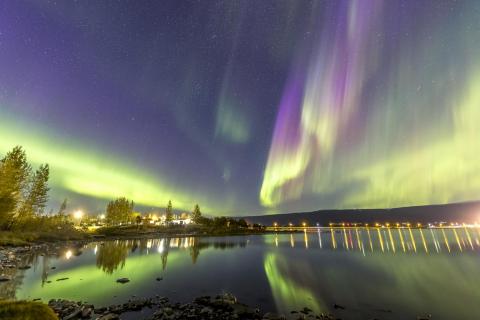Lady Aurora