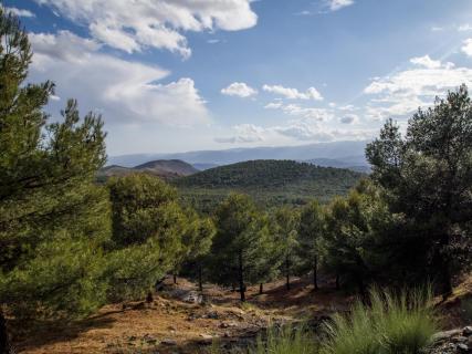Spanien 