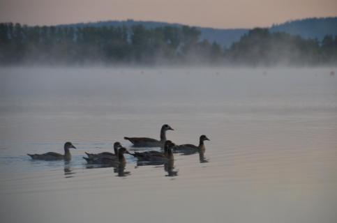 Morgenstunden am See