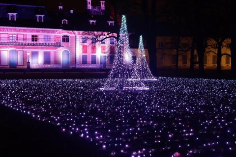 Bild 010