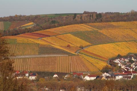 Bunte Weinberge