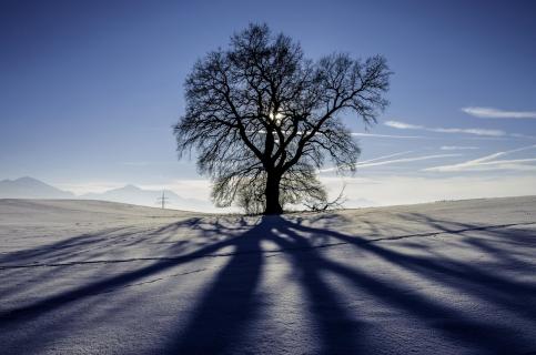 Licht und Schatten