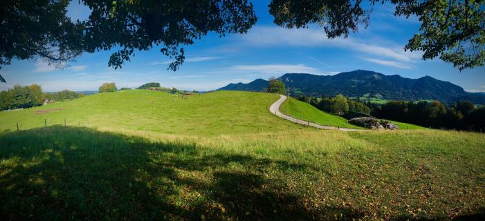 Panorama Weide