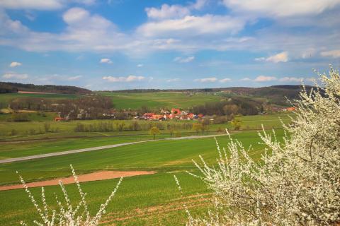 Mauers im Frühling