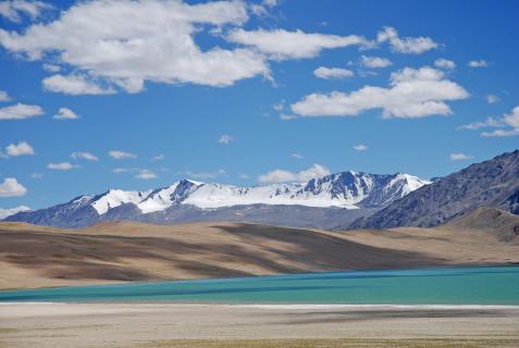 Changtang Hochebene / Ladakh 