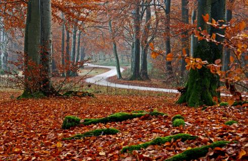 Herbstlich(t)
