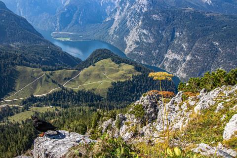 Blick auf den Königssee