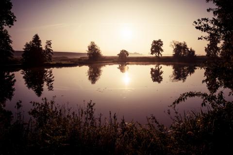 See in der Nähe von Buxtehude