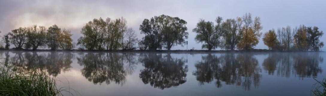 Rheinkilometer 515 im Herbstnebel
