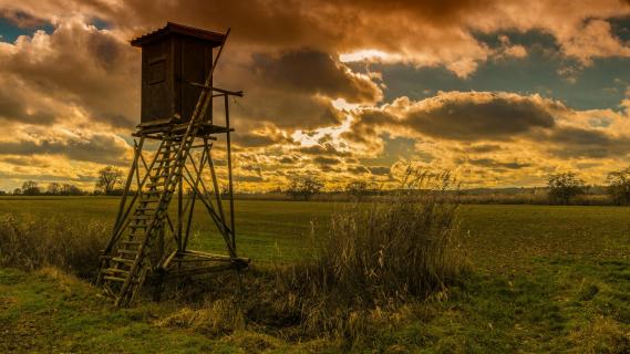 Hochsitz und ein coole Himmel