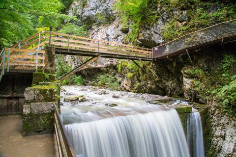 Rappenlochschlucht (2)