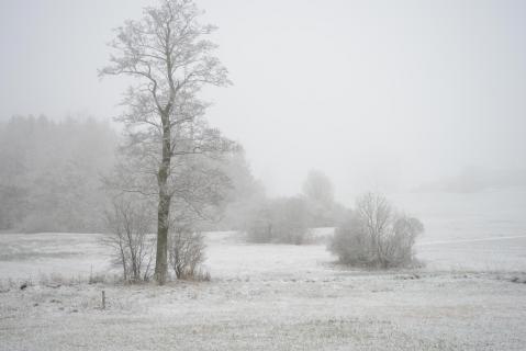 Hochmoor im Frostkleid