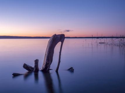 Der Schuh im Ammersee