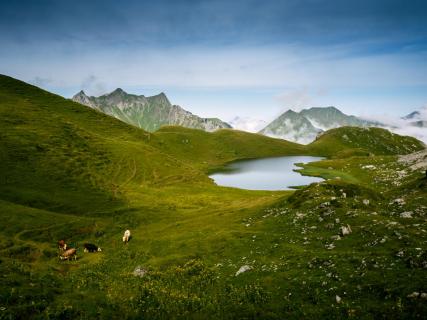 Morgens am Hochalpsee