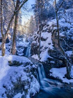 Winter im Wildbachtobel