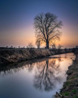 Ein Baum, ein Fluss und ein Sonnenuntergang