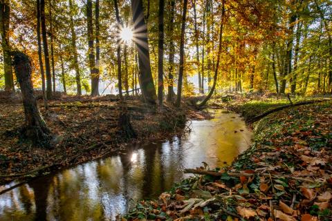 Herbststimmung