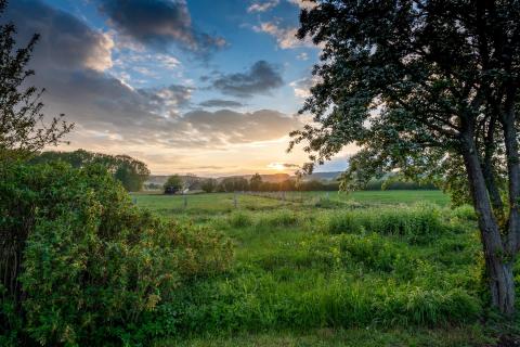 Elfenland