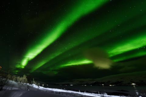 Norwegen - Aurora Borealis