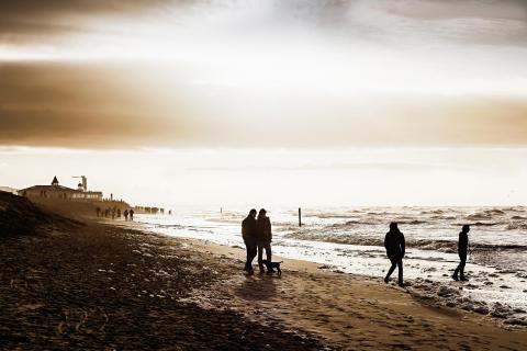 Goldene Abendstimmung am Nordseestrand