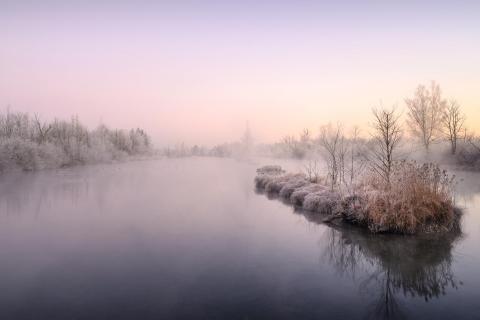Morgenstimmung am See