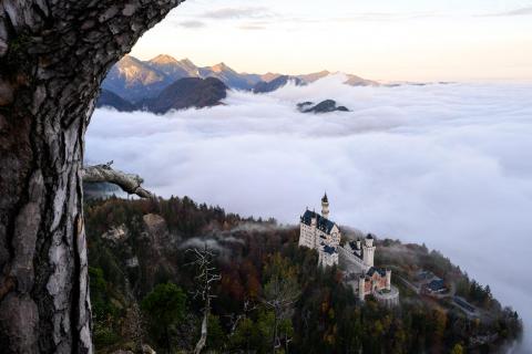 Neuschwanstein im Nebelmeer