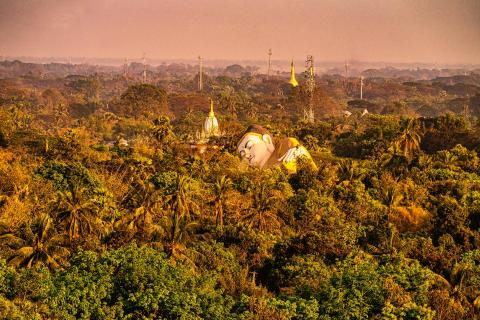 Sleeping Buddha in tropical forest