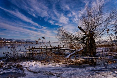 Fischersteg Pfäffikersee im Winter