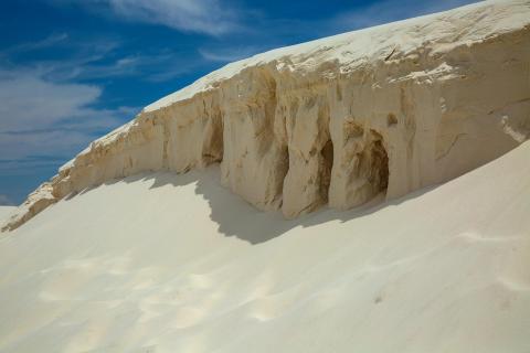 Natur als Architekt