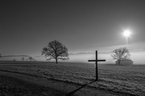 Tree and cross