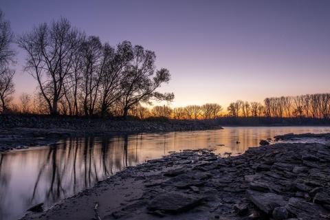 Rheingrund bei Sonnenaufgang