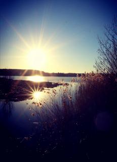 Abendstunde am Weiher