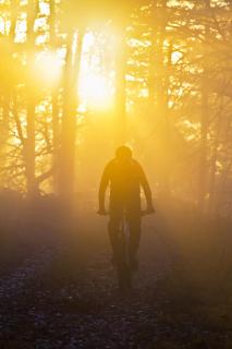 Mountainbiker im Herbstnebel